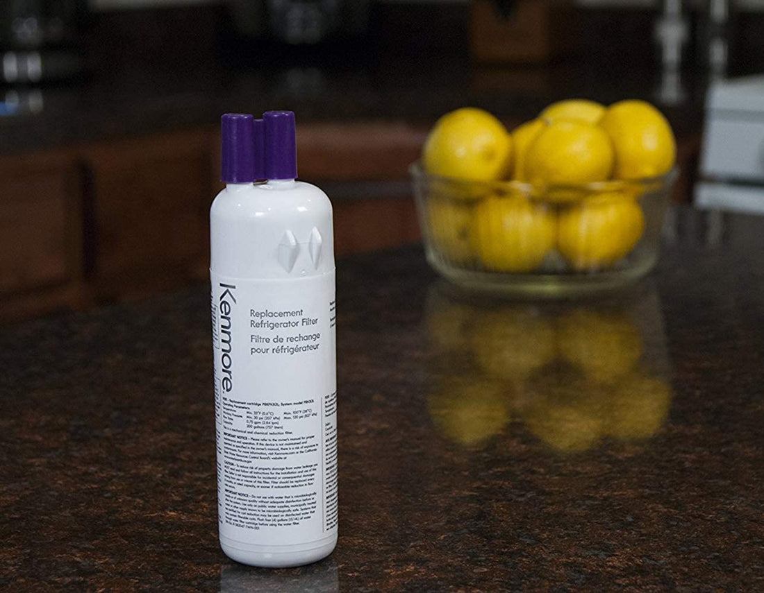 Your Guide To The Best Kenmore Refrigerator Filters - PrecipFilter