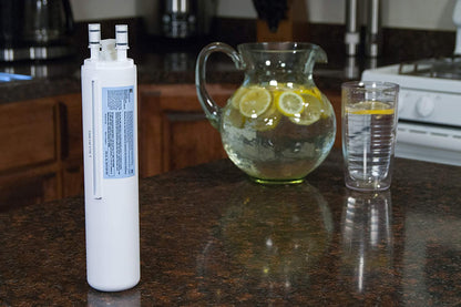 Kenmore 9999 Refrigerator Replacement Water Filter, White - PrecipFilter
