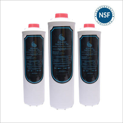 KOSMIKO WaterSentry Plus Replacement Filter (Bottle Fillers) Suitable For Elkay - PrecipFilter